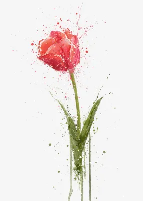 Flower Wall Art Print 'Tulip'